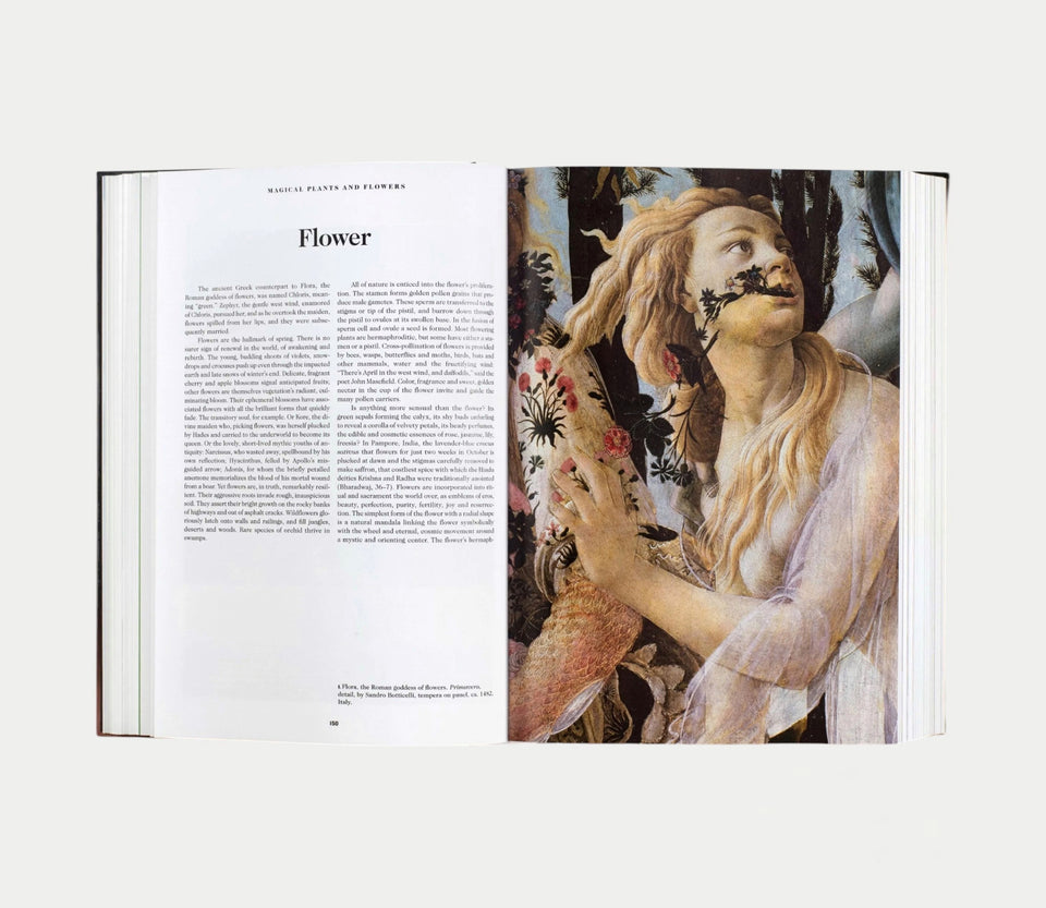 The Book Of Symbols: Reflections On Archetypal Images